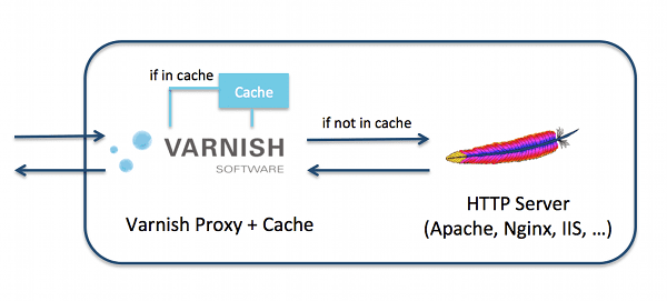 Configuración Varnish Cache en Plesk Onyx y Centos 7-3
