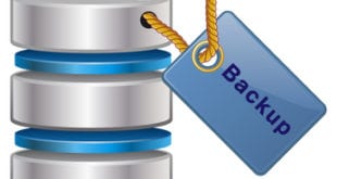 Backup directo desde Esxi