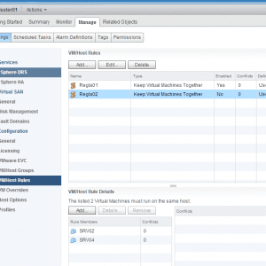 VMware-Web_Client-05