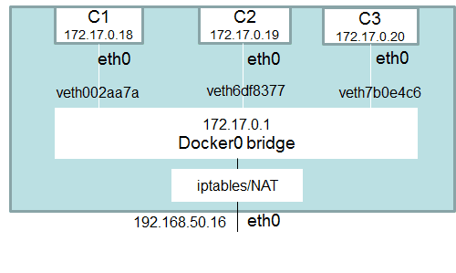 networking-dockers-1