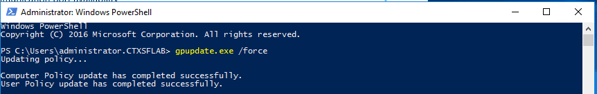Politica-Citrix-Local-Time-9