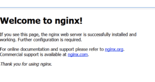 nginx-sobre-container-en-windows-server-2019-1