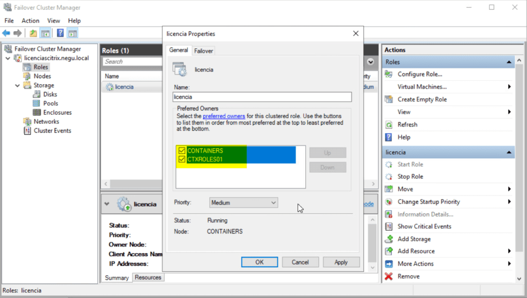 clusterizar-servidor-de-licencias-citrix-10