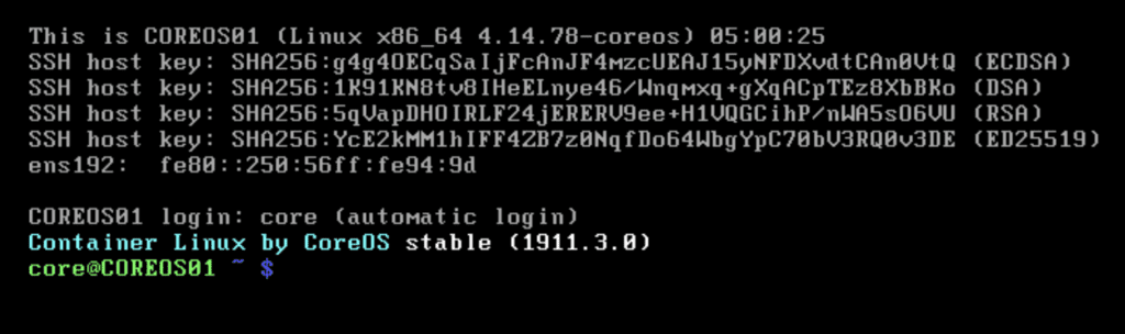 instalar-y-configurar-coreos-en-vmware-10
