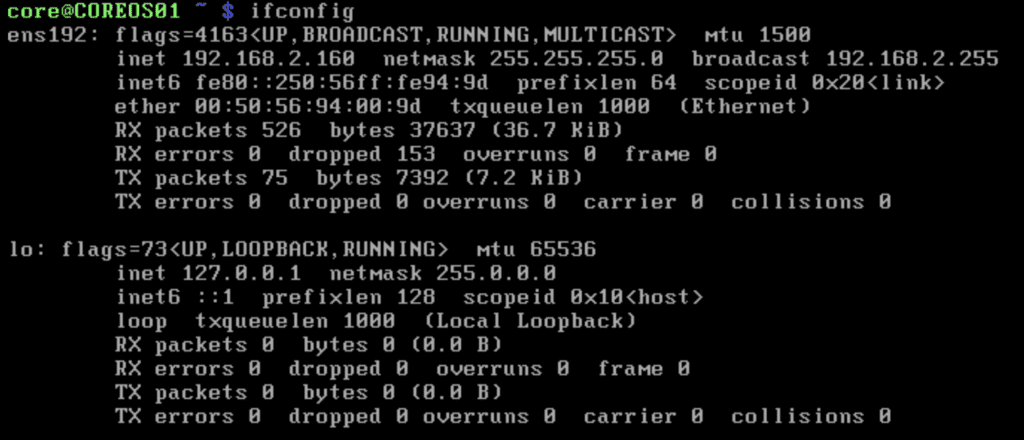 instalar-y-configurar-coreos-en-vmware-12