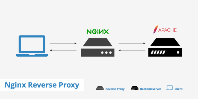 nginx-crear-proxy-inverso-en-centos-7-lxc
