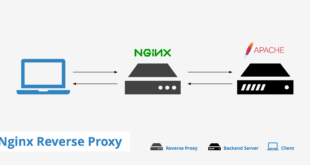 nginx-crear-proxy-inverso-en-centos-7-lxc