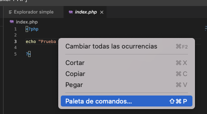 desarrollar-con-containers-docker-en-visual-code-17