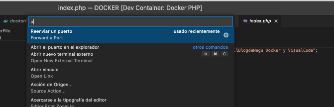 desarrollar-con-containers-docker-en-visual-code-18