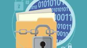 unraid-script-copia-de-seguridad-a-disco-usb-1