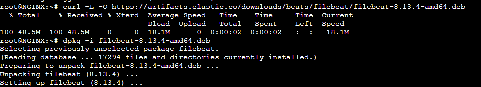 curso-elk-como-en-enviar-logs-de-nginx-desde-un-contenedor-lxc-a-elk-1