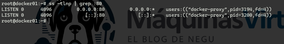 laboratorio-de-pentesting-comprometiendo-la-infraestructura-proxmox-desde-un-contenedor-docker-3